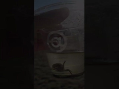 50mm 400mm 300mm Karbon Çelik Flanged Havalandırma Kelebek Valfi