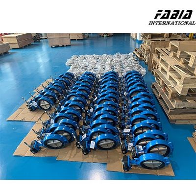 8 Inch Worm Gear Butterfly Valve Su Temizliği Doğal Gaz Endüstrisi için Güvenilir Sızdırma